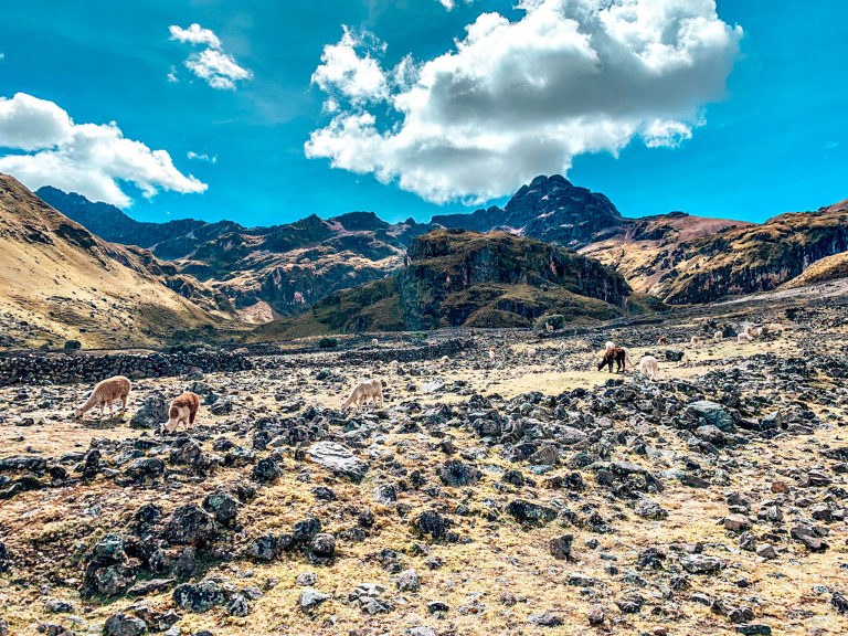 Peruvian valley of Animals