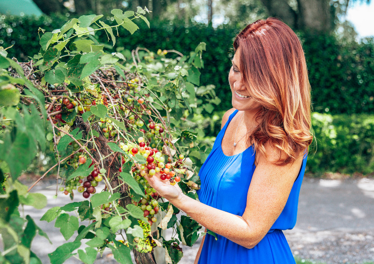 Ashley is holding a bunch of multi-colored grapes still on the vine at the Keel & Curley Vineyard